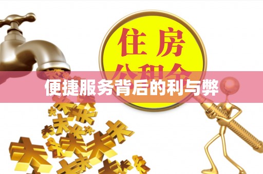 九江便捷服务背后的利与弊